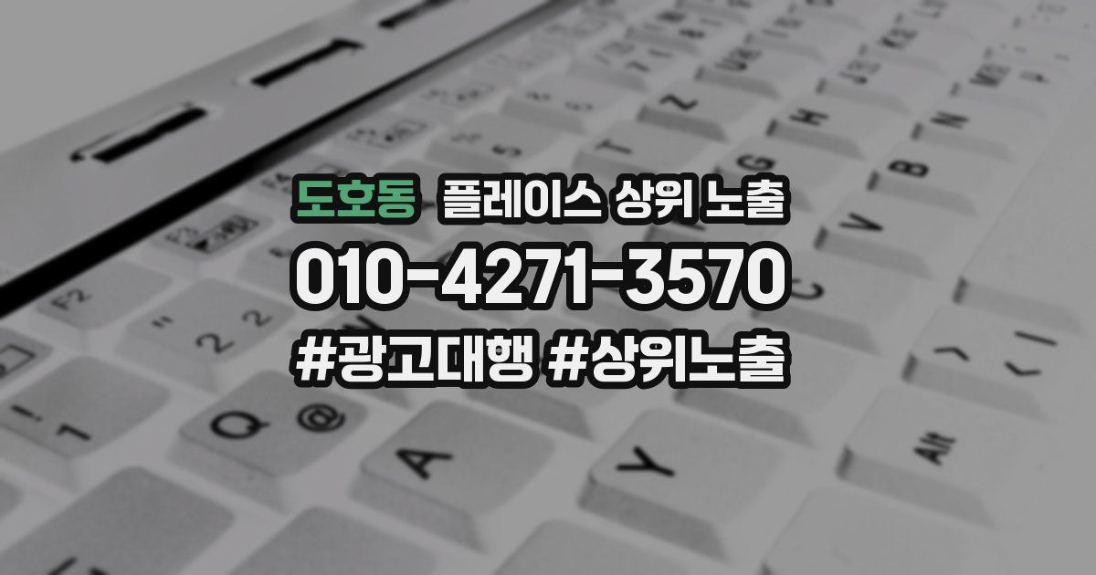 도호동 플레이스 상위 노출