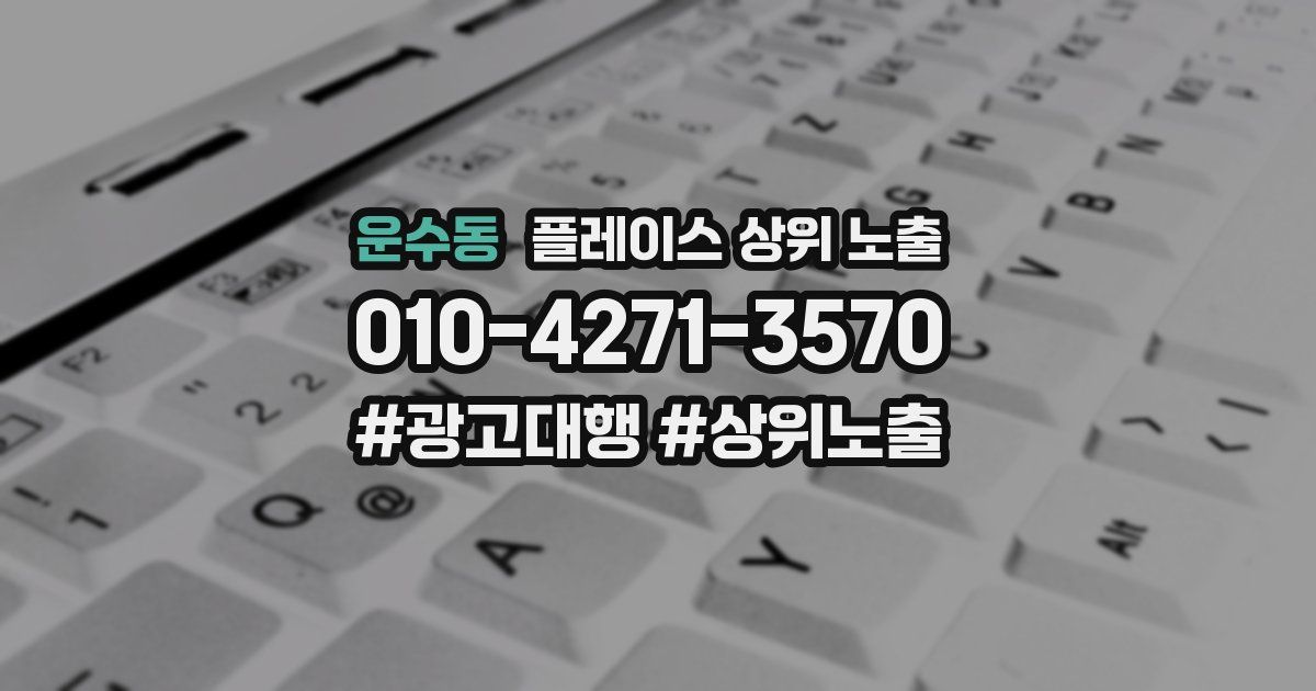 운수동 플레이스 상위 노출