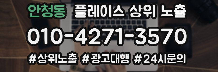 안청동 플레이스 상위 노출