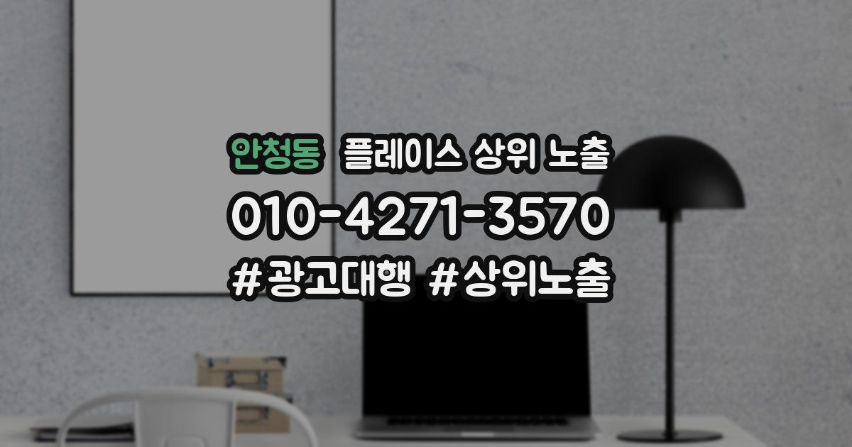 안청동 플레이스 상위 노출