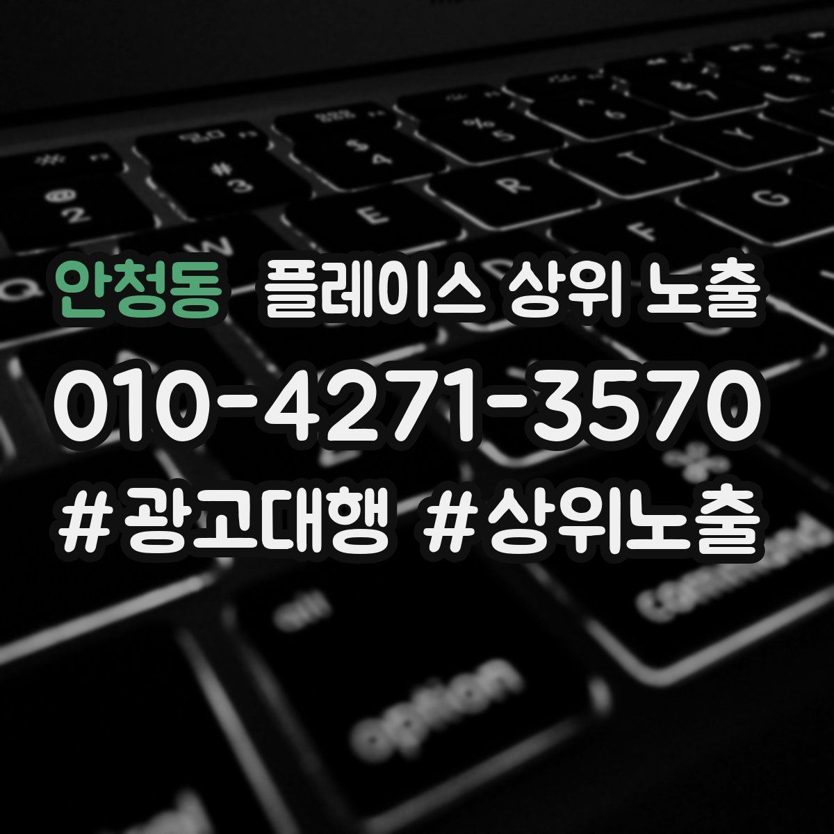 안청동 플레이스 상위 노출