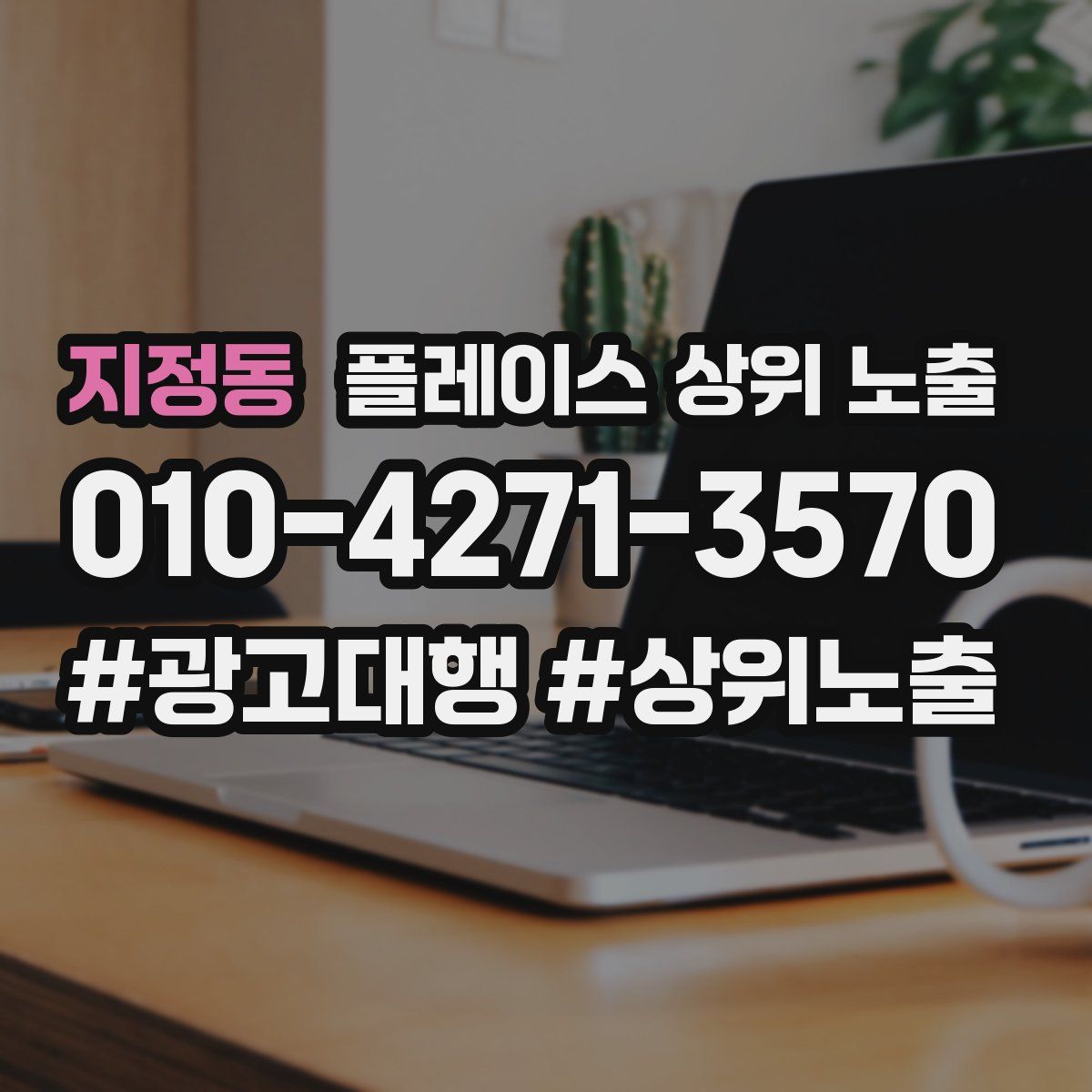 지정동 플레이스 상위 노출