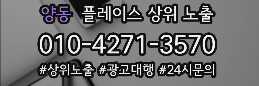 양동 플레이스 상위 노출