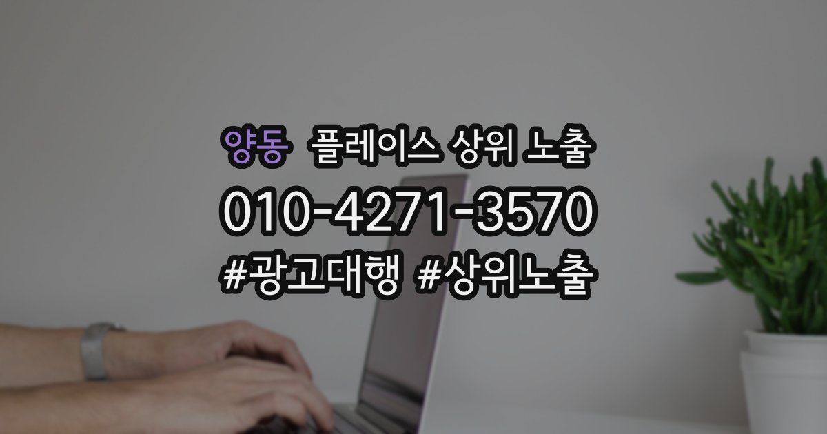 양동 플레이스 상위 노출