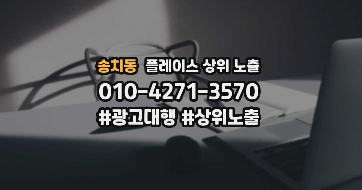 송치동 플레이스 상위 노출