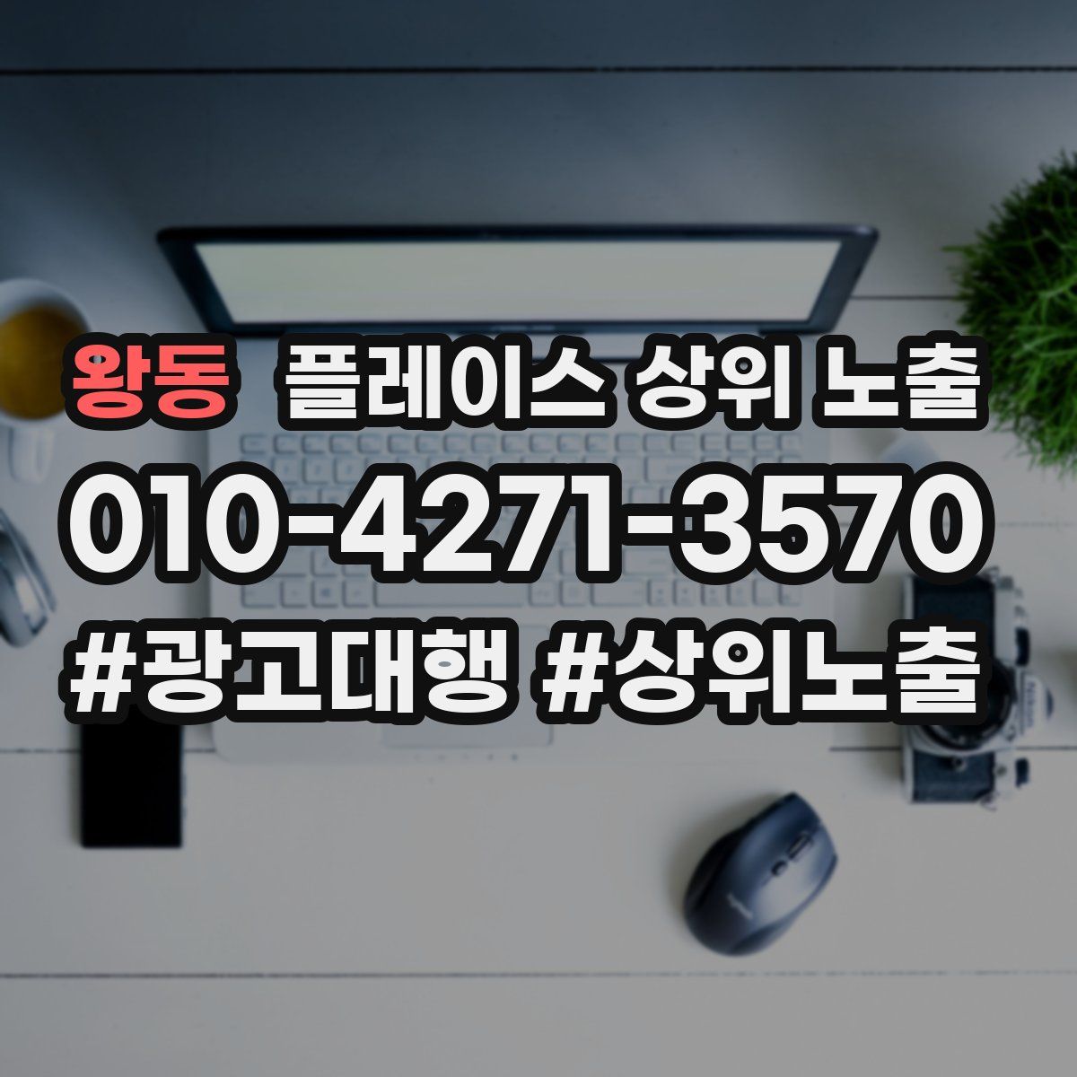 왕동 플레이스 상위 노출
