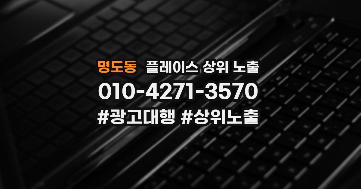 명도동 플레이스 상위 노출
