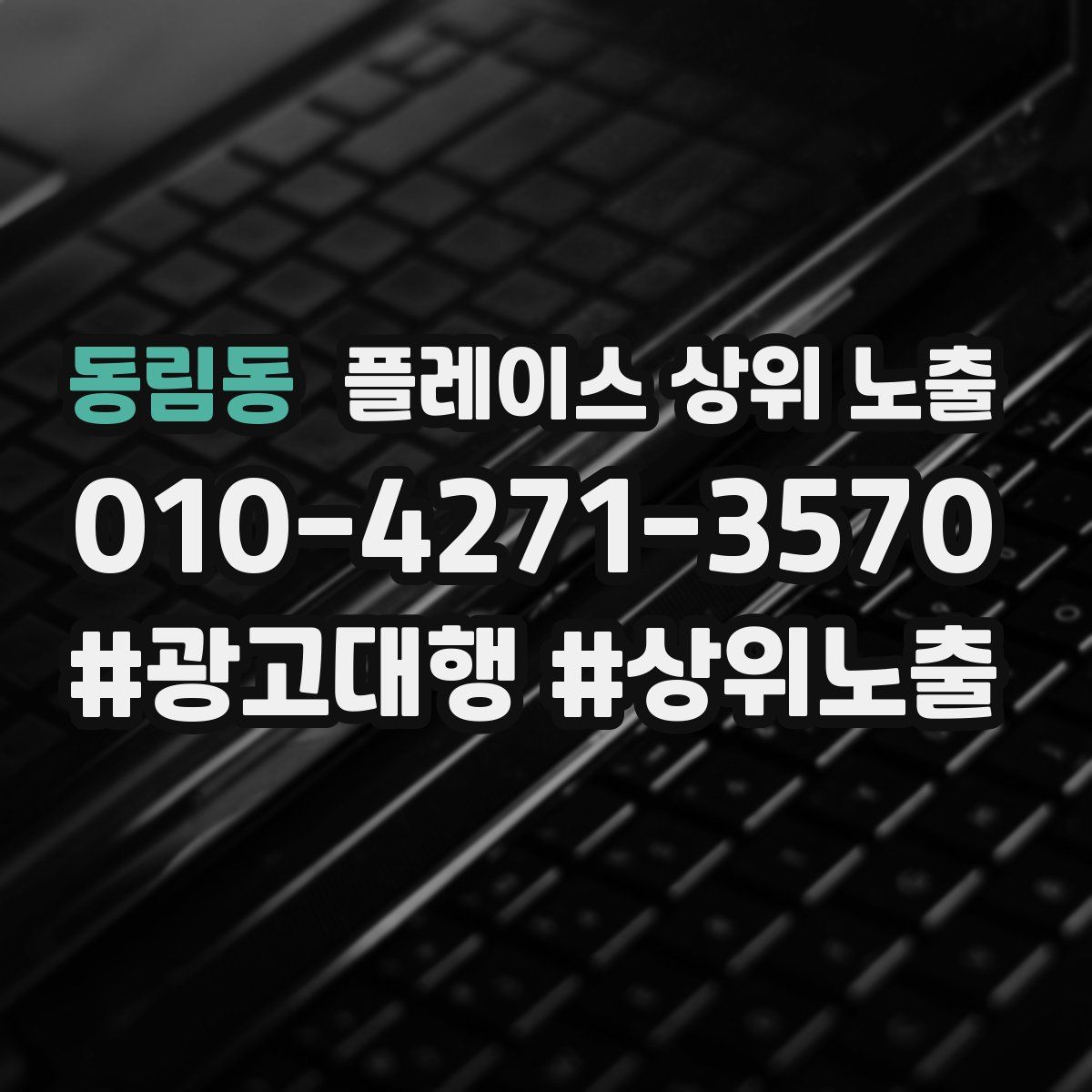 동림동 플레이스 상위 노출