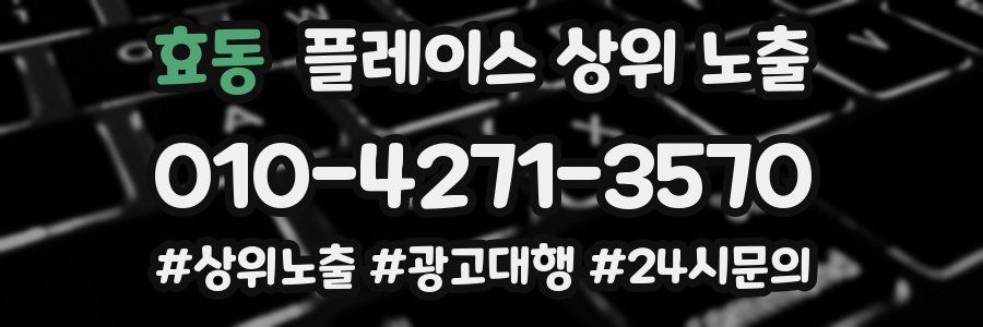 효동 플레이스 상위 노출