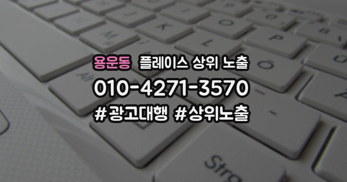 용운동 플레이스 상위 노출