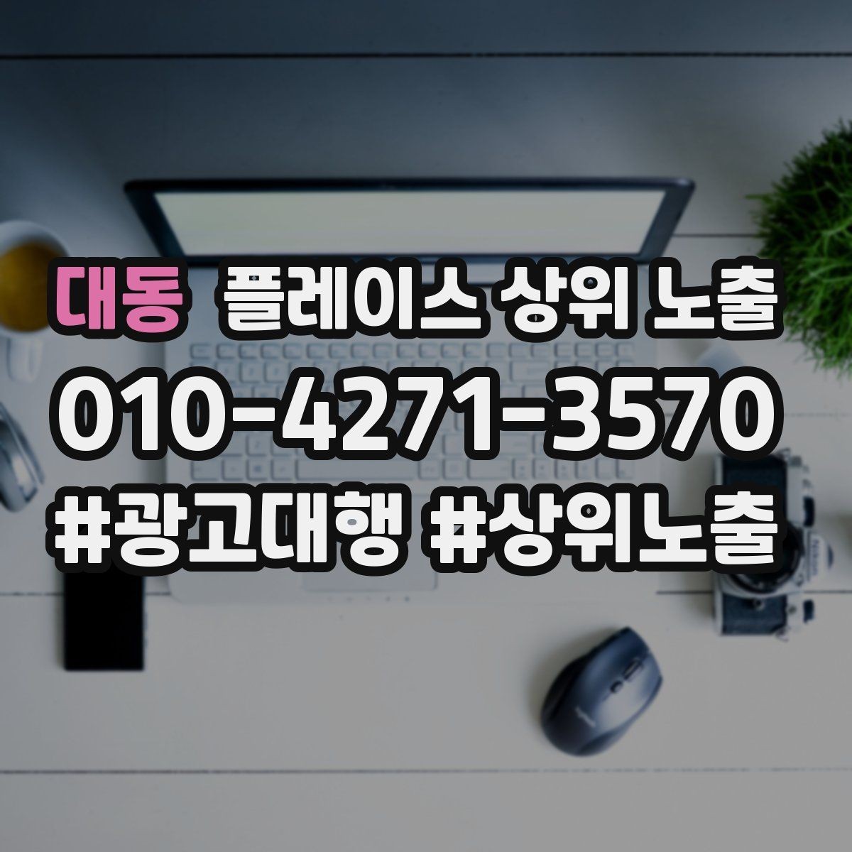 대동 플레이스 상위 노출 근처 검색에서 선택받는 포인트