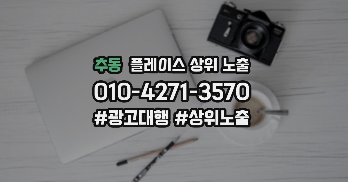 추동 플레이스 상위 노출