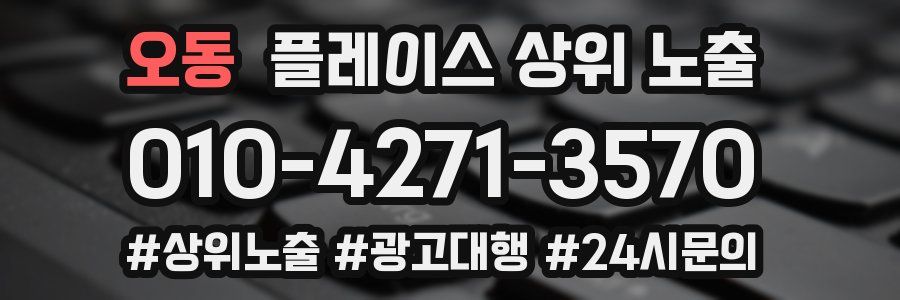 오동 플레이스 상위 노출