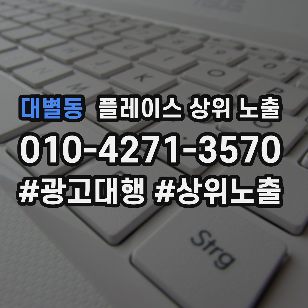 대별동 플레이스 상위 노출