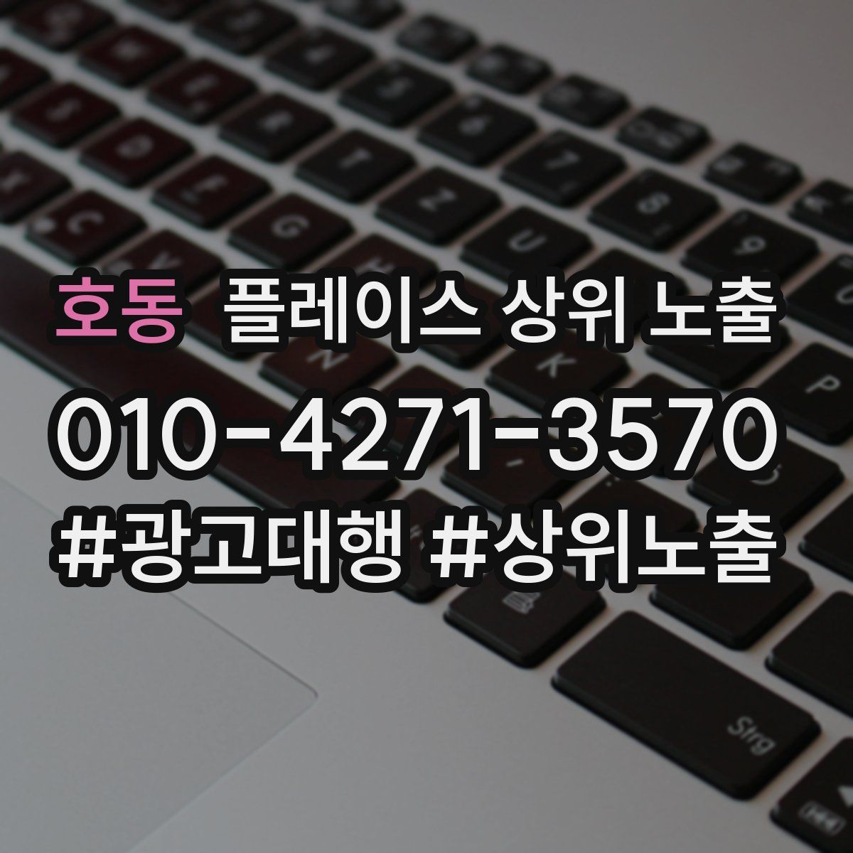 호동 플레이스 상위 노출