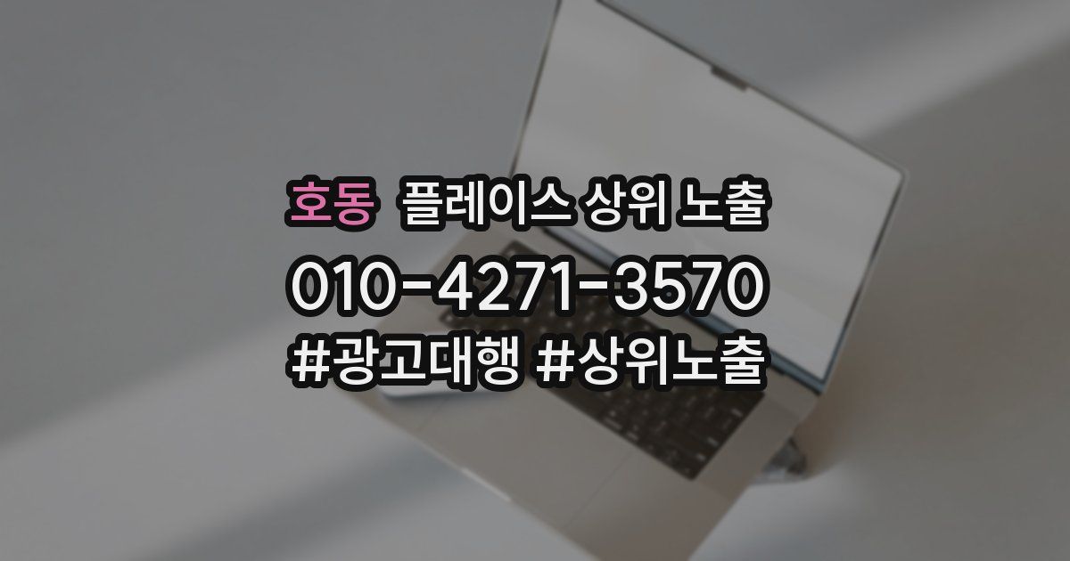 호동 플레이스 상위 노출