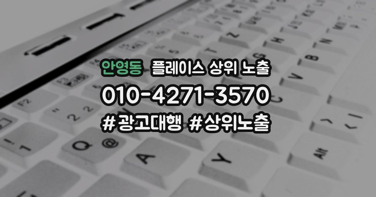 안영동 플레이스 상위 노출