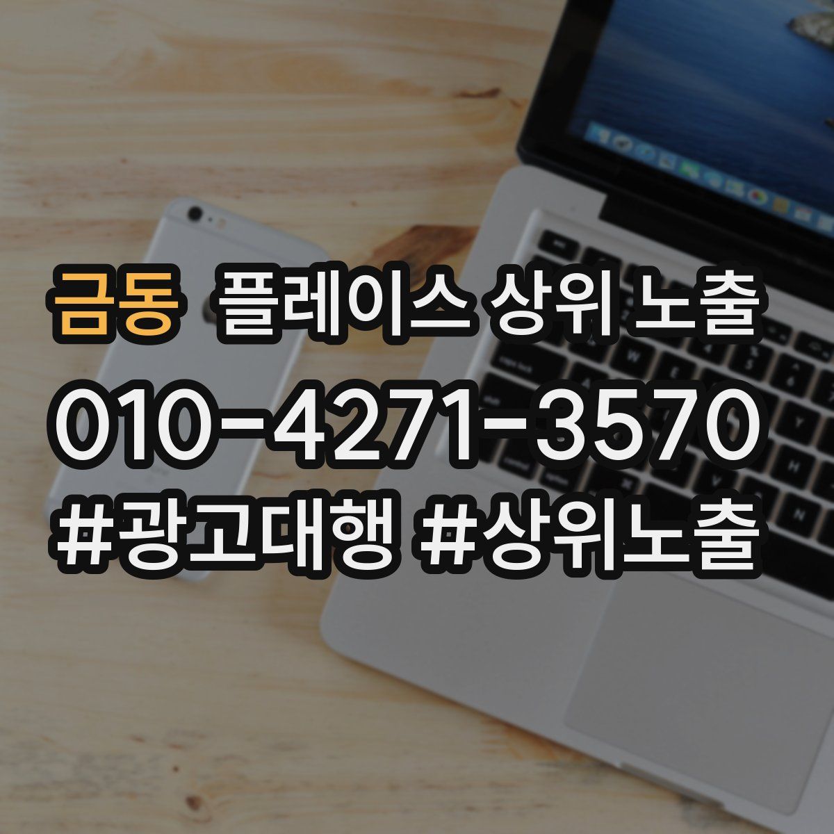 금동 플레이스 상위 노출