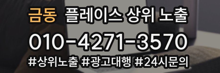 금동 플레이스 상위 노출