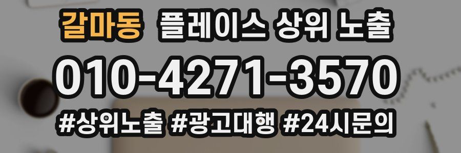 갈마동 플레이스 상위 노출