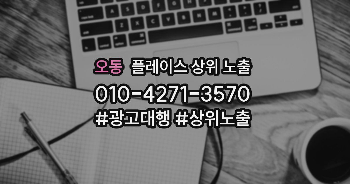 오동 플레이스 상위 노출