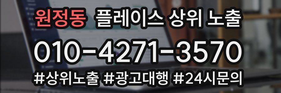 원정동 플레이스 상위 노출