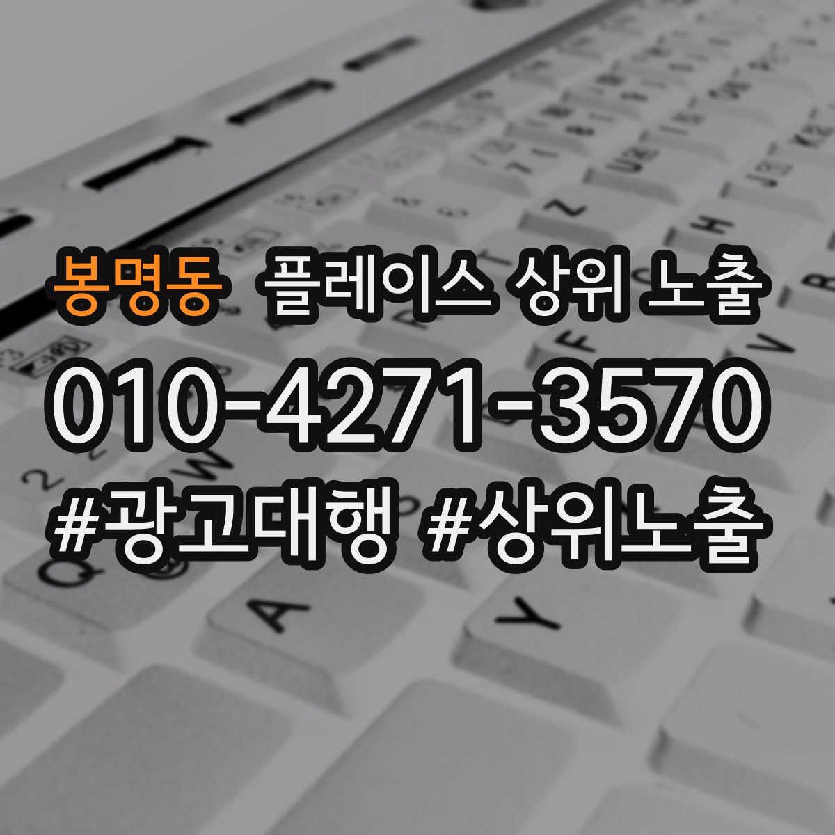 봉명동 플레이스 상위 노출