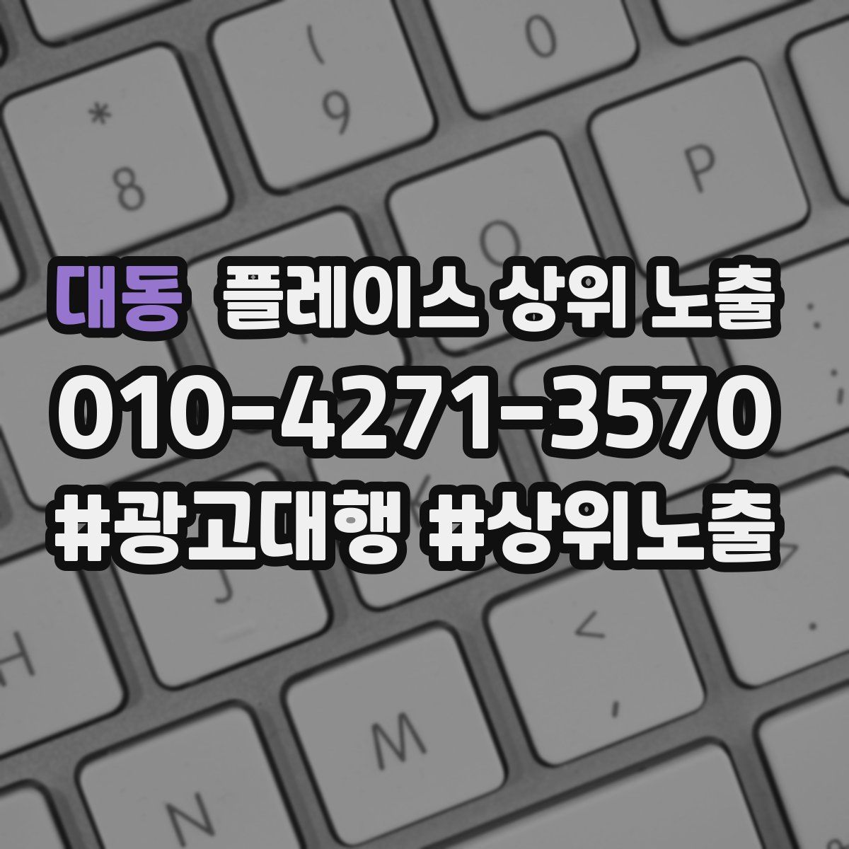 대동 플레이스 상위 노출