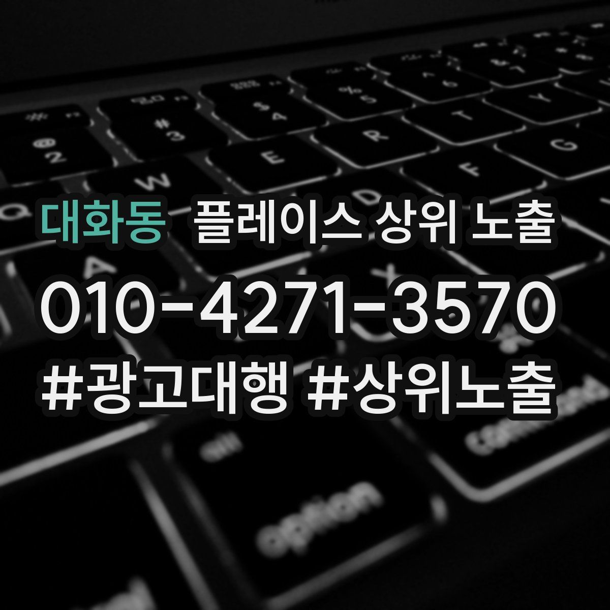 대화동 플레이스 상위 노출