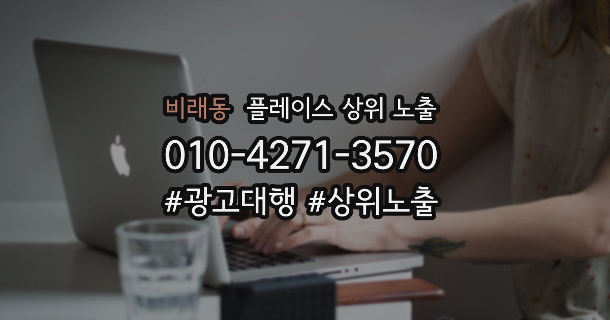 비래동 플레이스 상위 노출