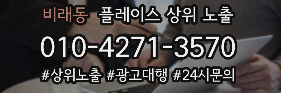 비래동 플레이스 상위 노출