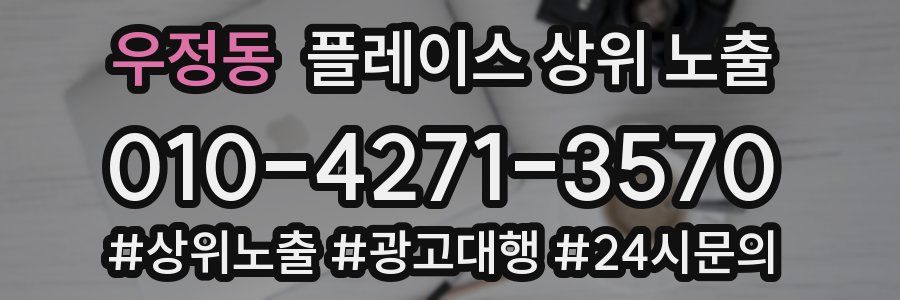 우정동 플레이스 상위 노출