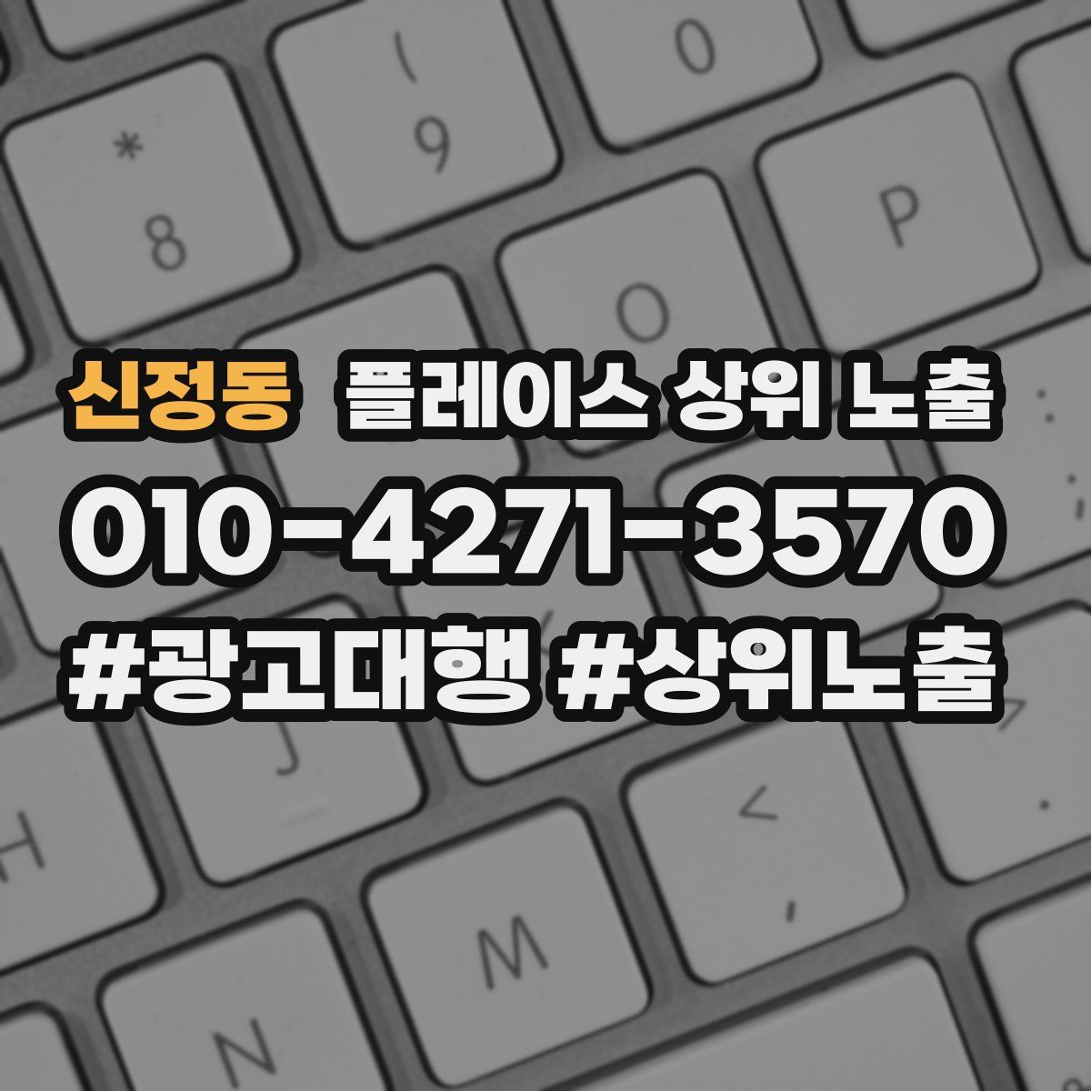 신정동 플레이스 상위 노출
