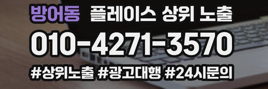 방어동 플레이스 상위 노출