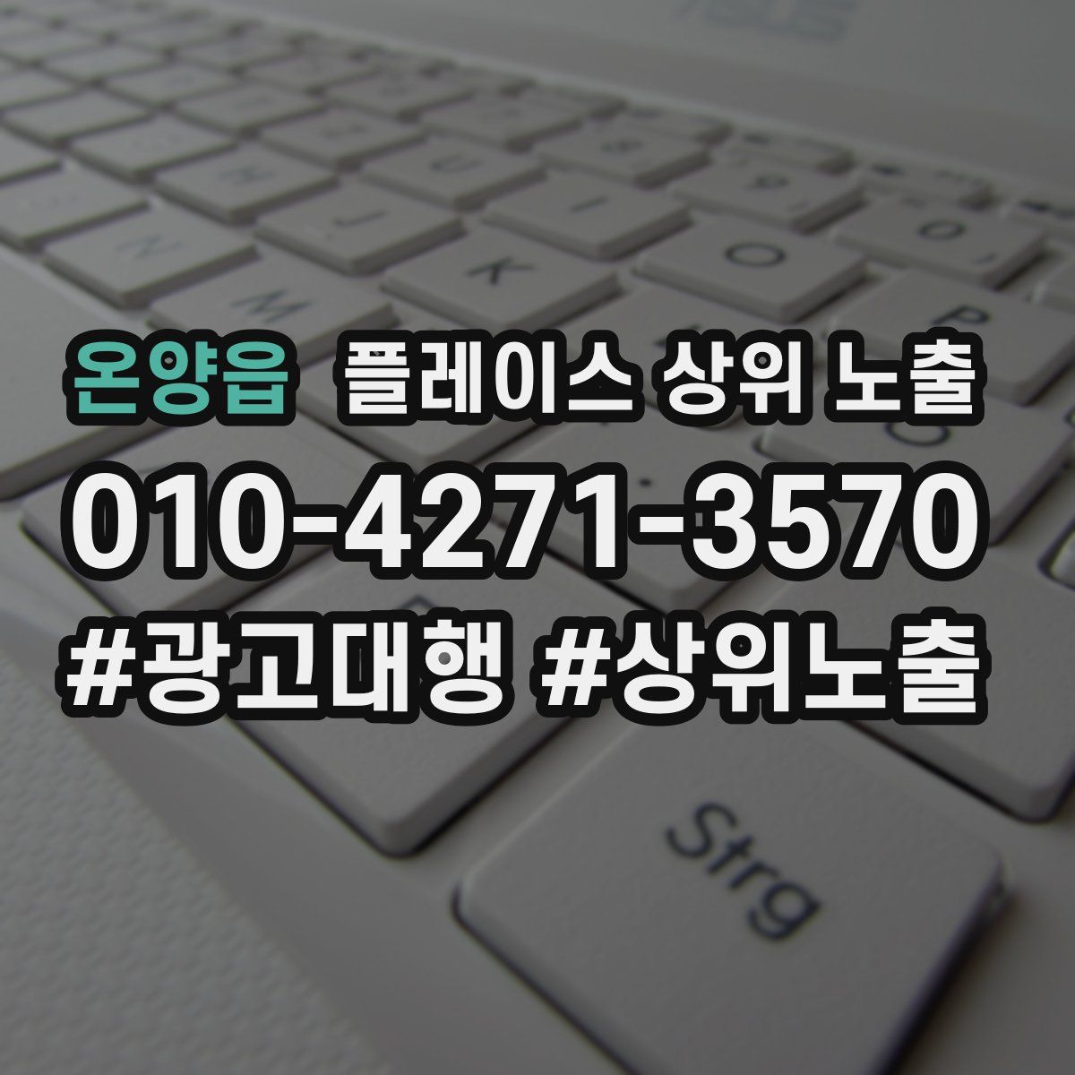 온양읍 플레이스 상위 노출