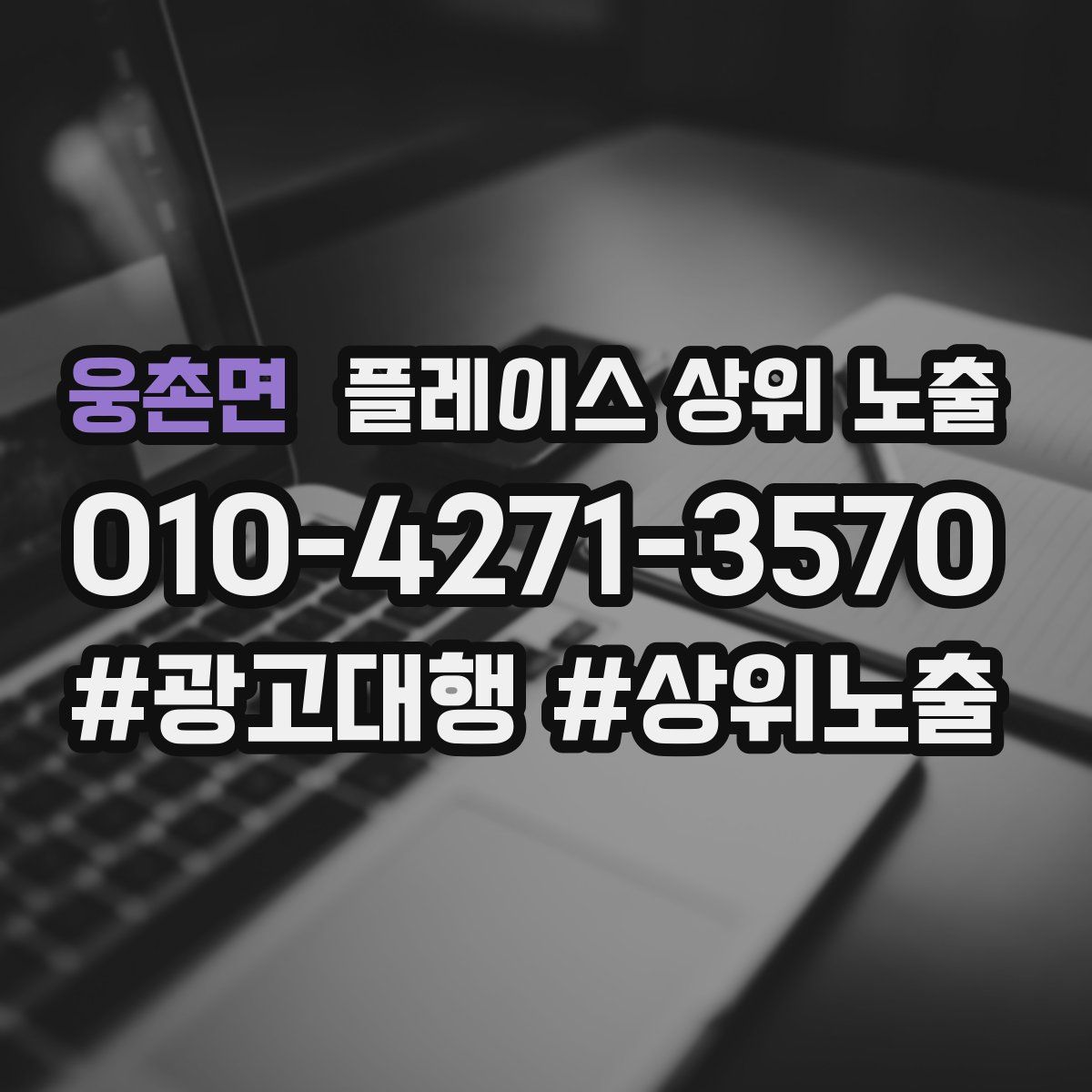웅촌면 플레이스 상위 노출