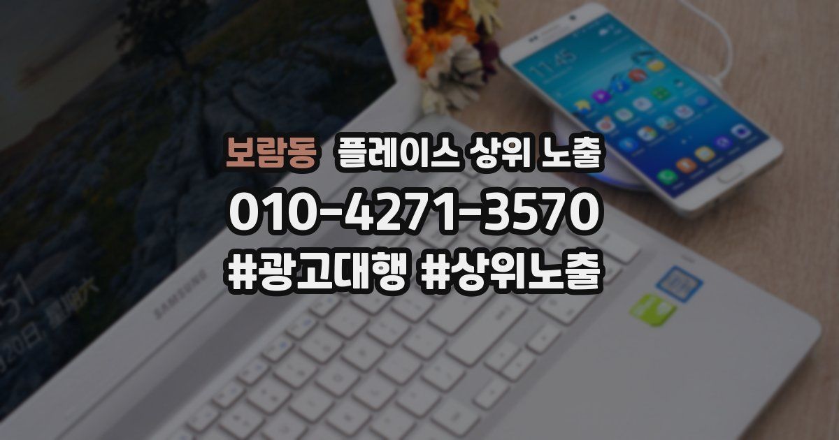보람동 플레이스 상위 노출