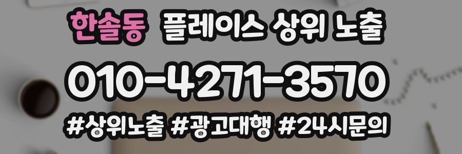 한솔동 플레이스 상위 노출