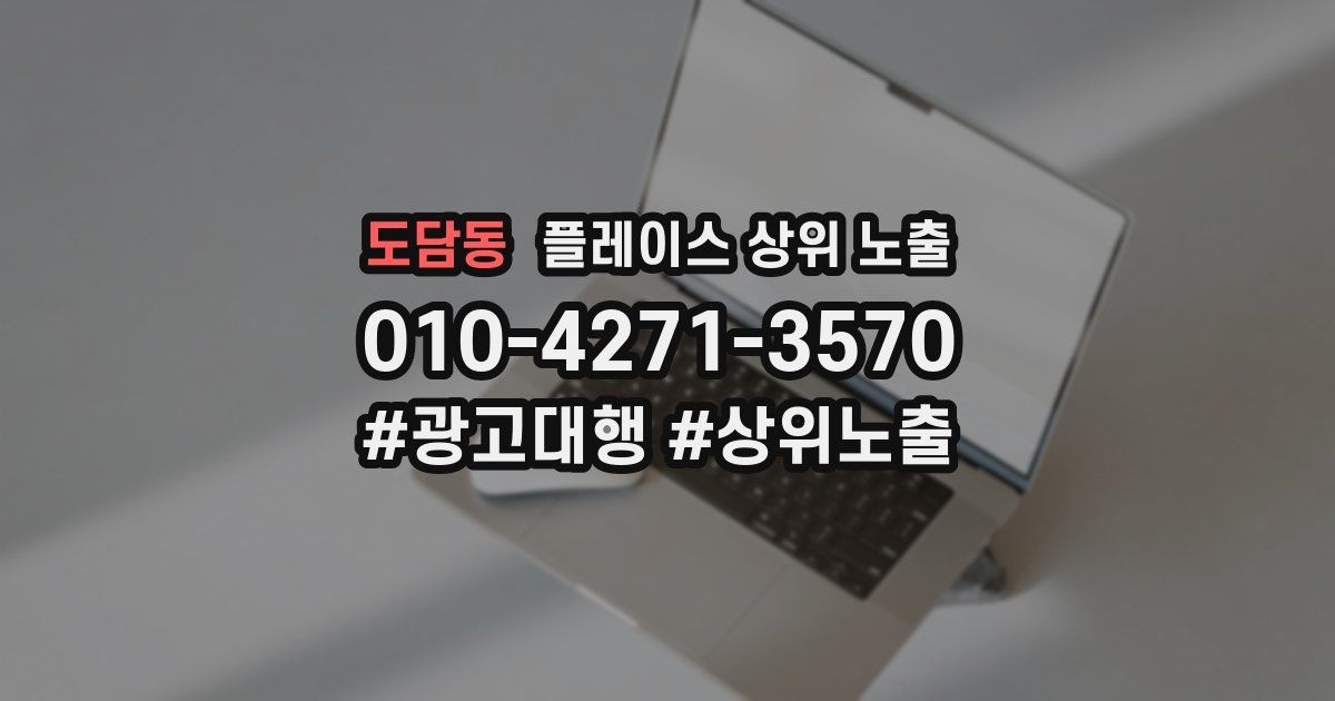 도담동 플레이스 상위 노출