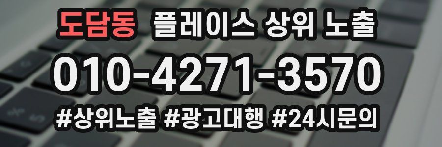 도담동 플레이스 상위 노출