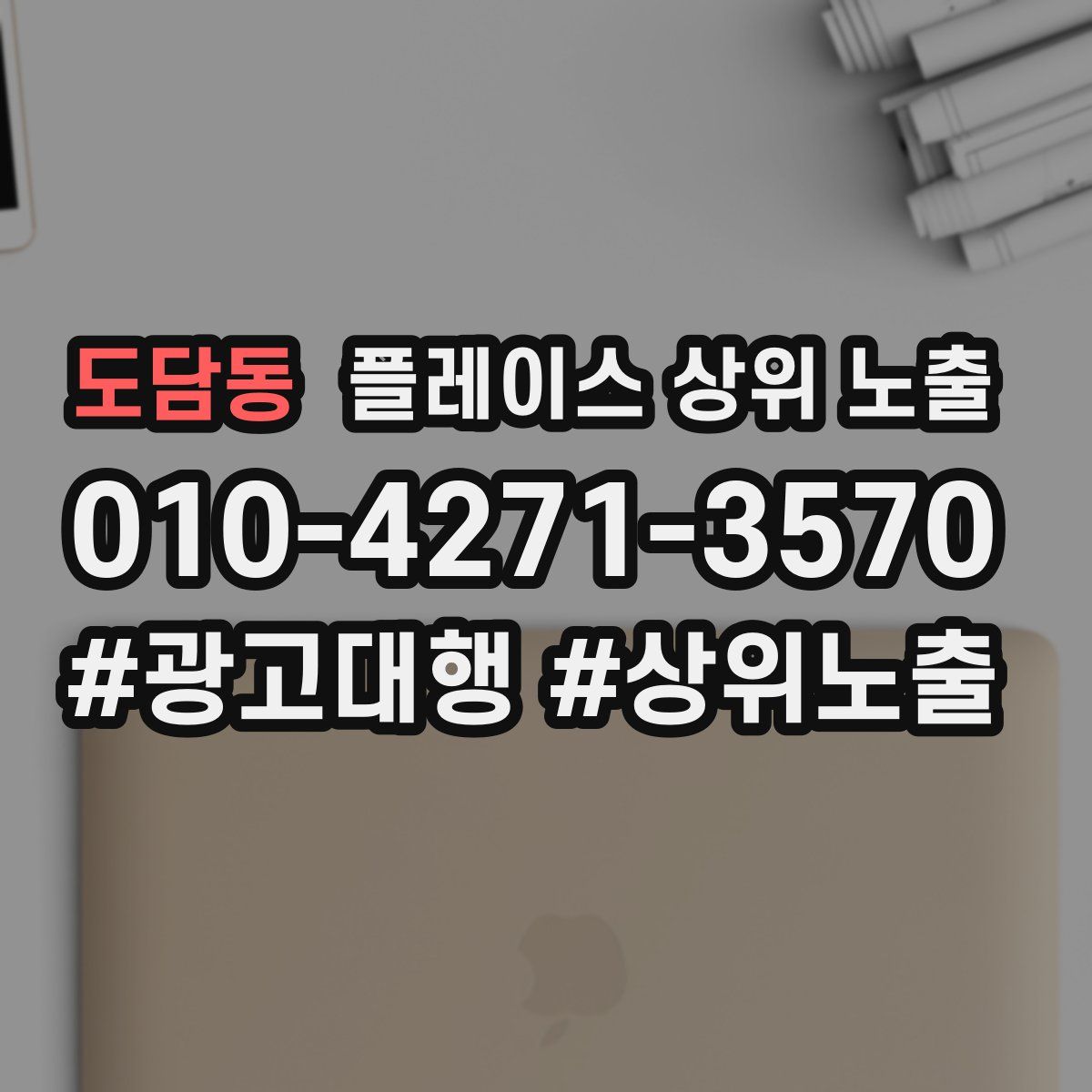 도담동 플레이스 상위 노출