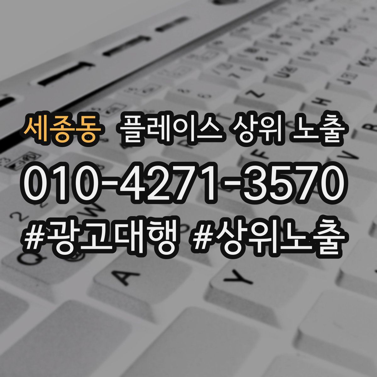 세종동 플레이스 상위 노출