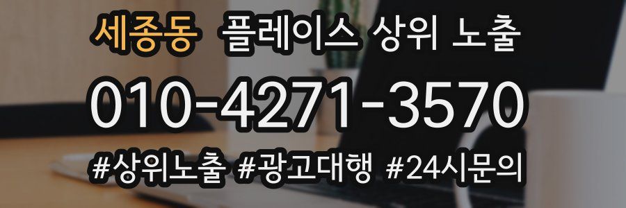 세종동 플레이스 상위 노출