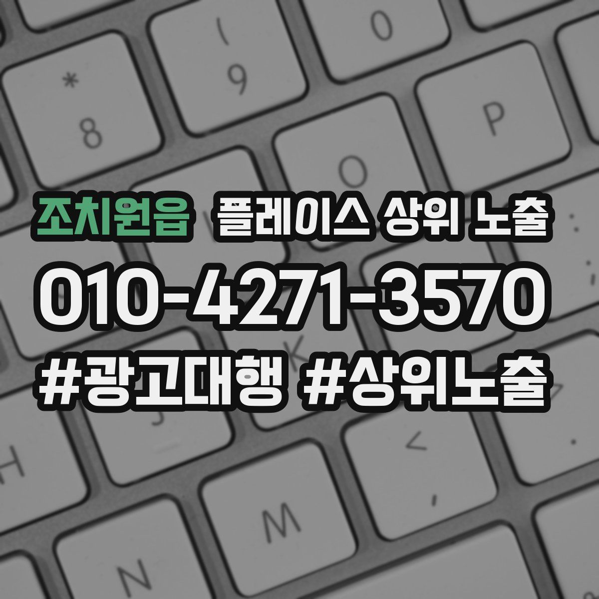 조치원읍 플레이스 상위 노출
