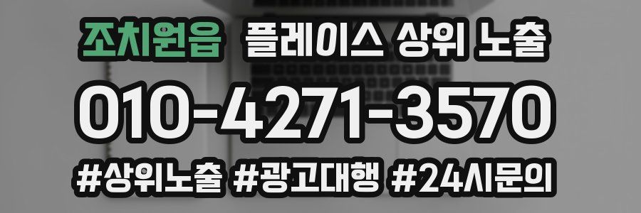 조치원읍 플레이스 상위 노출