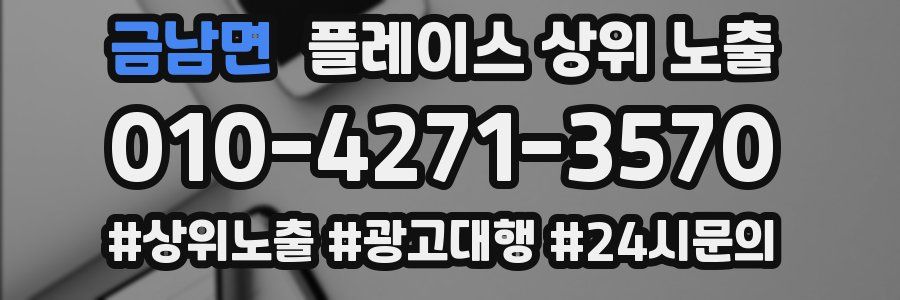 금남면 플레이스 상위 노출