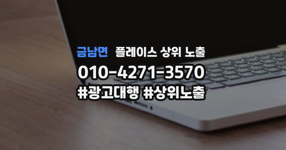 금남면 플레이스 상위 노출
