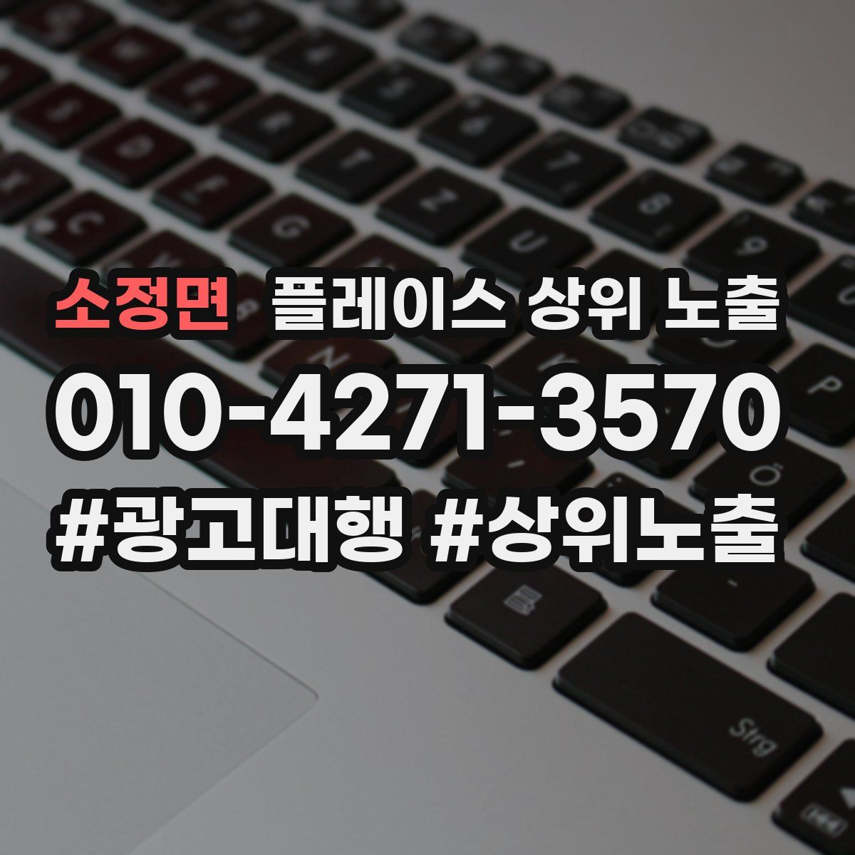 소정면 플레이스 상위 노출