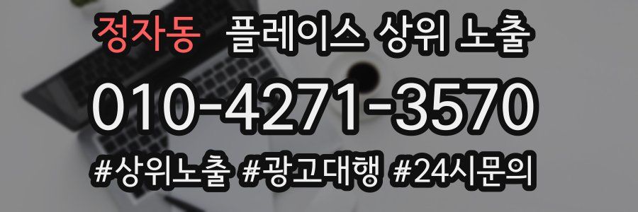정자동 플레이스 상위 노출