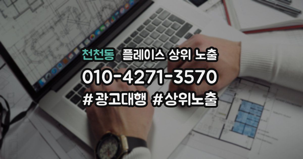 천천동 플레이스 상위 노출